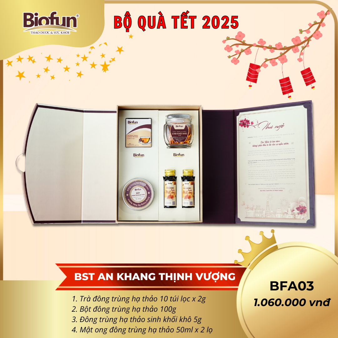 Bộ Quà Tặng Tết 2025 - An Khang Thịnh Vượng BFA03